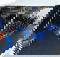 Silverswift Outer Great Barrier Reef Dive and Snorkel Cruise from Cairns - Accommodation Resorts