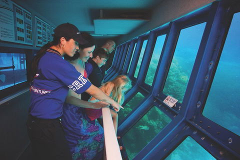 Great Barrier Reef Adventure From Cairns - Accommodation Resorts 0