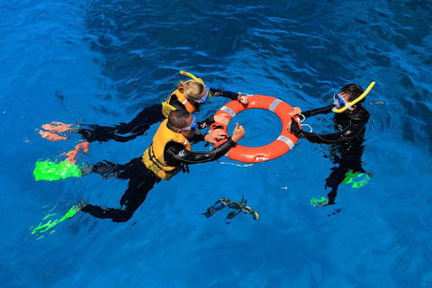 Great Barrier Reef Adventure From Cairns - Accommodation Resorts 3