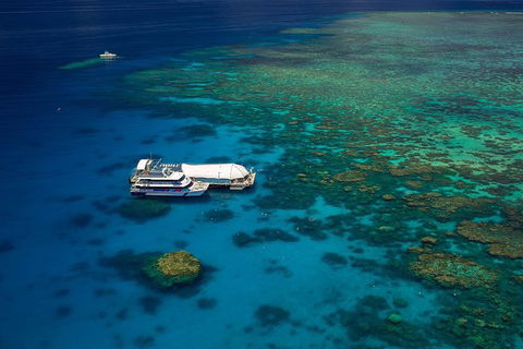 Great Barrier Reef Adventure From Cairns - Accommodation Resorts 4
