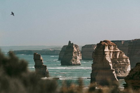 Half-Day Or Full-Day Tour With Private Guide From Melbourne - Accommodation Resorts 0