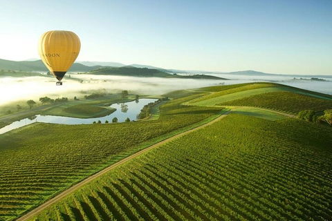 Half-Day Or Full-Day Tour With Private Guide From Melbourne - Accommodation Resorts 4