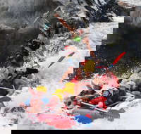 Barron Gorge National Park Half-Day White Water Rafting from Cairns or Port Douglas - Accommodation Resorts