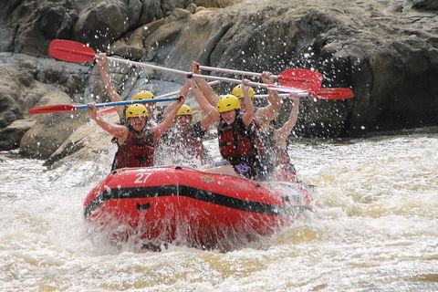 Barron Gorge National Park Half-Day White Water Rafting From Cairns Or Port Douglas - Accommodation Resorts 5