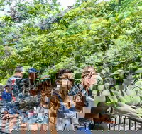 Cape Tribulation Mossman Gorge and Daintree Rainforest Day Trip from Cairns or Port Douglas - Accommodation Resorts