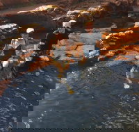 One Day Litchfield Park Adventures - Accommodation Resorts