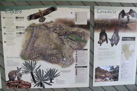 Jumping Crocodile Cruise And Berry Springs Nature Park - Accommodation Resorts 2