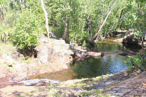 Jumping Crocodile Cruise And Berry Springs Nature Park - Accommodation Resorts 3