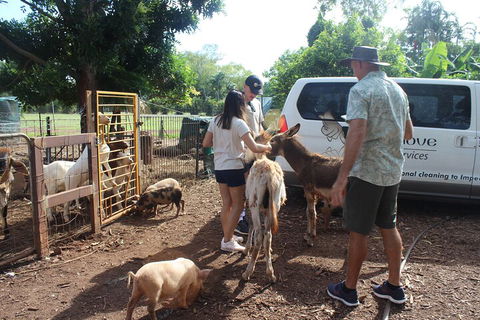 Jumping Crocodile Cruise And Berry Springs Nature Park - Accommodation Resorts 4