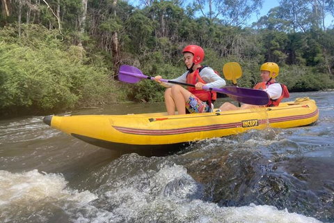 Yarra River Half-Day Rafting Experience - Accommodation Resorts 1