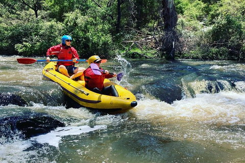 Yarra River Half-Day Rafting Experience - Accommodation Resorts 4