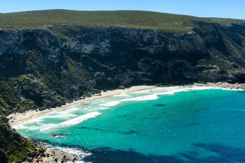 Kangaroo Island Scenic Trail Tour - Accommodation Resorts 4