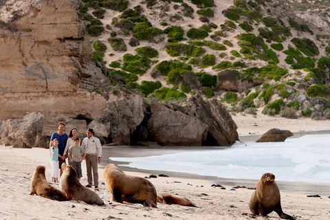 Kangaroo Island Scenic Trail Tour - Accommodation Resorts 5