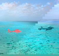 Port Douglas Scenic Flights - Accommodation Resorts