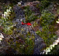 Ultimate Great Barrier Reef and Rainforest 45-minute Helicopter Tour - Accommodation Resorts