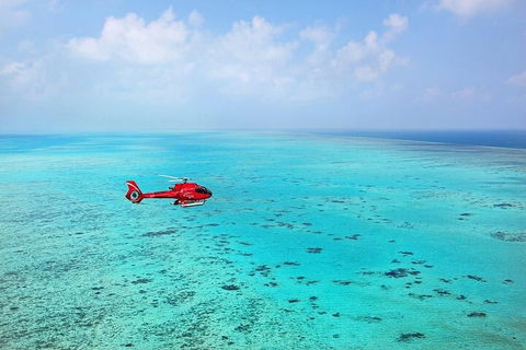 Ultimate Great Barrier Reef And Rainforest 45-minute Helicopter Tour - Accommodation Resorts 2