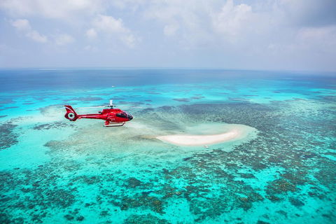 Ultimate Great Barrier Reef And Rainforest 45-minute Helicopter Tour - Accommodation Resorts 3