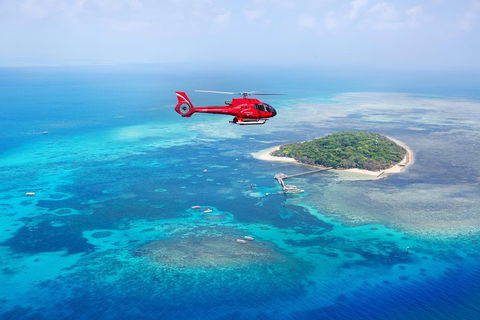 Ultimate Great Barrier Reef And Rainforest 45-minute Helicopter Tour - Accommodation Resorts 4