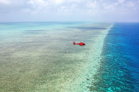Ultimate Great Barrier Reef And Rainforest 45-minute Helicopter Tour - Accommodation Resorts 5