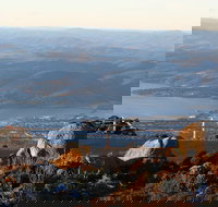 Mt. Wellington Bonorong and Richmond Day Tour from Hobart - Accommodation Resorts