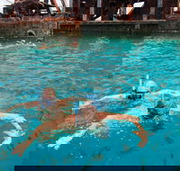 Moreton Island Snorkel and Sandboarding 4WD Day Trip from Brisbane - Accommodation Resorts