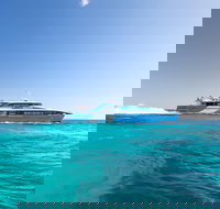 Rottnest Island All-Inclusive Grand Island Tour from Fremantle - Accommodation Resorts