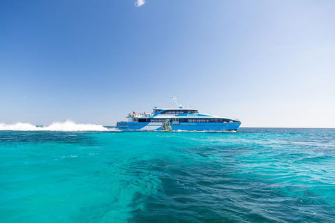Rottnest Island All-Inclusive Grand Island Tour From Fremantle - Accommodation Resorts 0