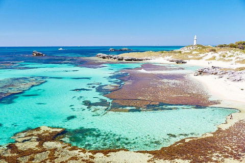 Rottnest Island All-Inclusive Grand Island Tour From Fremantle - Accommodation Resorts 1