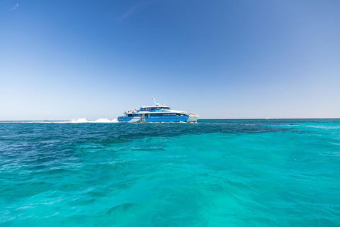 Rottnest Island Bike & Ferry Package From Fremantle - Accommodation Resorts 0