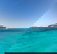 Rottnest Island Fortress Adventure Segway Package from Fremantle - Accommodation Resorts