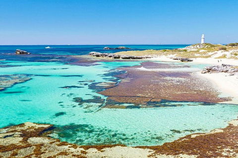 Rottnest Island Bike, Snorkel & Ferry Package From Perth - Accommodation Resorts 5