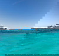 Rottnest Island Bayseeker Day Trip from Perth - Accommodation Resorts