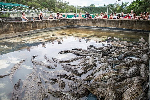Hartley's Crocodile Adventures Day Trip From Palm Cove - Accommodation Resorts 0