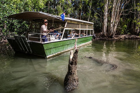 Hartley's Crocodile Adventures Day Trip From Palm Cove - Accommodation Resorts 2