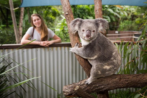 Hartley's Crocodile Adventures Day Trip From Palm Cove - Accommodation Resorts 5