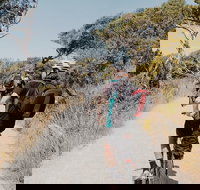 Self-Guided Point Nepean National Park Bike Hire - Accommodation Resorts