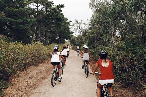 Self-Guided Point Nepean National Park Bike Hire - Accommodation Resorts 3