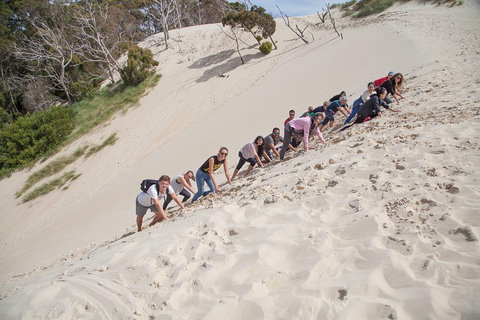 6-Day Tasmanian Explorer Adventure Tour From Hobart - Accommodation Resorts 2