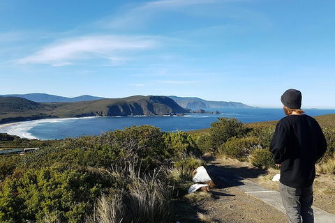 4-Day Fabulous Tasmania Tour: Wineglass Bay, Port Arthur, Devils & Bruny Island - Accommodation Resorts 0
