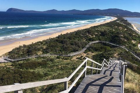4-Day Fabulous Tasmania Tour: Wineglass Bay, Port Arthur, Devils & Bruny Island - Accommodation Resorts 5
