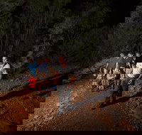 Alice Springs Desert Park Nocturnal Tour - Accommodation Resorts