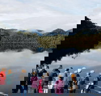 Gordon River Cruise departing from Strahan - Accommodation Resorts