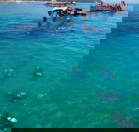 Adventure Moreton Island Scuba Dive Tour - Accommodation Resorts
