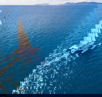 2-Night Whitsunday Islands Sailing Adventure on Trimaran Avatar - Accommodation Resorts