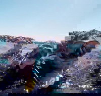 Wave Break Island Scuba Diving on the Gold Coast - Accommodation Resorts