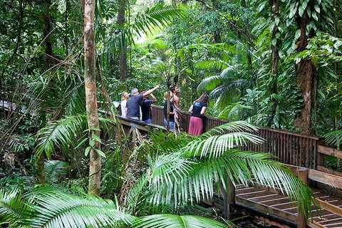 Full Day Daintree Rainforest And Mossman Gorge Tour - Accommodation Resorts 1