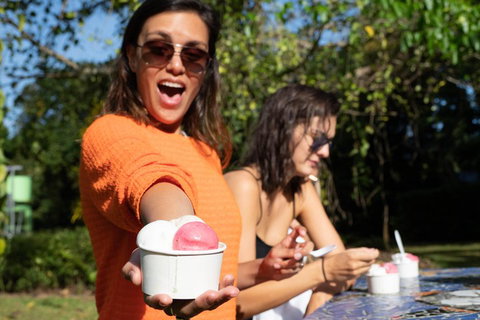 Full Day Daintree Rainforest And Mossman Gorge Tour - Accommodation Resorts 3