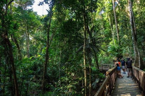 Full Day Daintree Rainforest And Mossman Gorge Tour - Accommodation Resorts 5