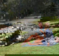 Mt Tamborine - Hinterland Wonders Self Guided - Accommodation Resorts