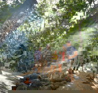 Mossman Gorge Adventure Day - Accommodation Resorts